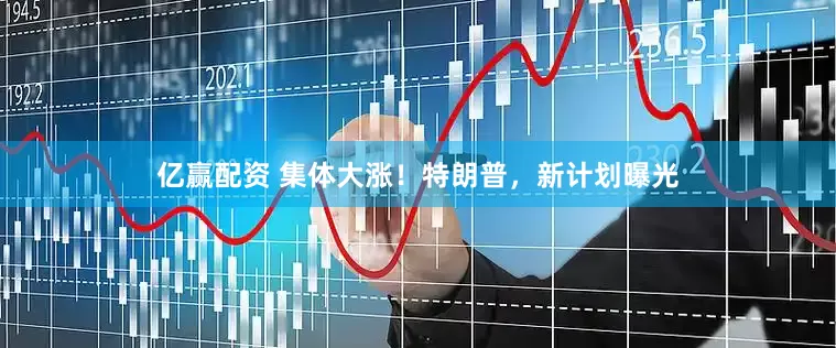 亿赢配资 集体大涨！特朗普，新计划曝光