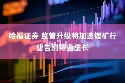哈福证券 监管升级将加速锂矿行业告别野蛮生长